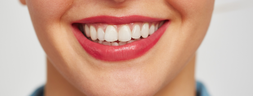 Tipos de dientes y sus fases durante la vida